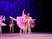 Концерт-спектакль представила вологжанам студия классического балета Детского музыкального театра