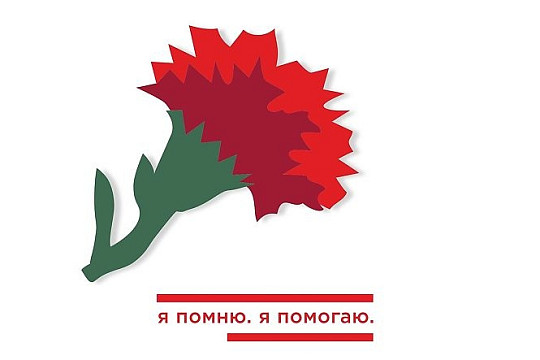 Участие вологжан в акции «Красная гвоздика» позволит помочь ветеранам Великой Отечественной войны