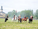 Фестиваль «Кирилло-Белозерская осада». Фото vk.com/rvio35