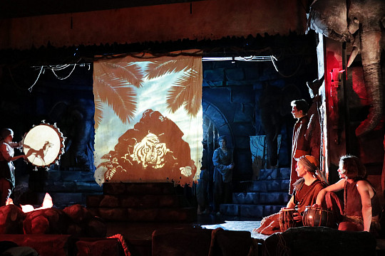 Посмотреть спектакль «Маугли» Вологодского театра кукол онлайн могут читатели cultinfo