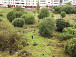 Территория будущего парка на Фрязиновской. Фото группы vk.com/za_park_fryazinovo