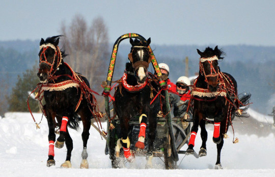 Праздник коня и чемпионат русских троек вновь соберет гостей в деревне Ерофейке