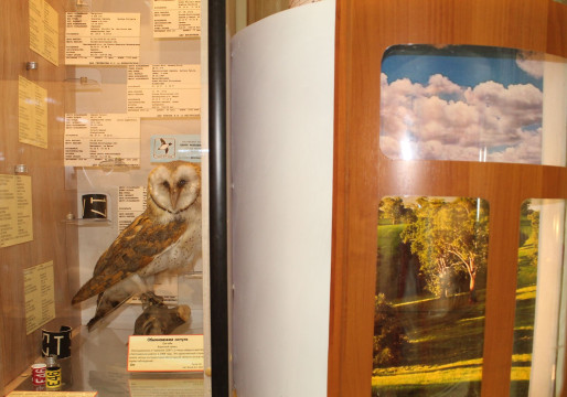 Обновленная экспозиция откроется в Музее Белого озера