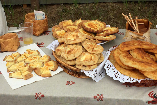 Жители Бабаевского района приняли участие в вепсском фестивале в Винницах