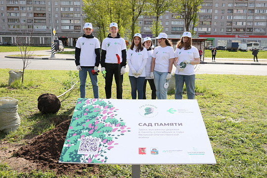 Посадить дерево в память о героях Великой Отечественной войны могут вологжане
