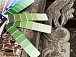 Реставраторы раскрыли подлинный цвет дома Пановых на Герцена, 38. Фото со страницы Ларисы Якимовой