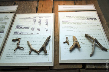 Судьбы репрессированных через гербарии можно проследить на выставке музея Тимирязева в Тотьме