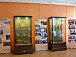 Музей Великого Устюга украсили шемогодские узоры