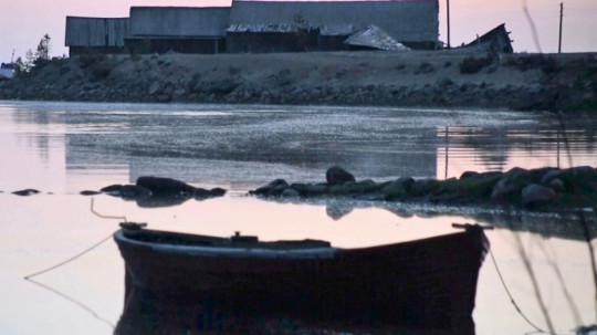 В Череповце покажут фильмы Арктического международного кинофестиваля «Золотой ворон»