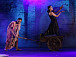 Спектакль «Ардалион» Ереванского театра пантомимы