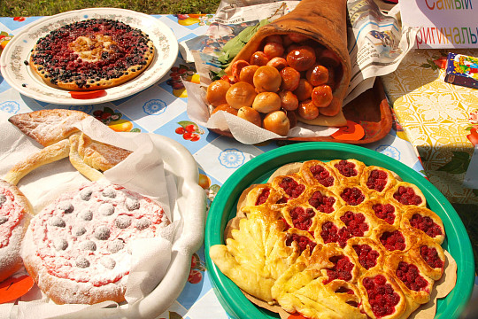 25 июля в селе Михайловском Харовского района пройдет ягодный фестиваль «Смородиновый рай»