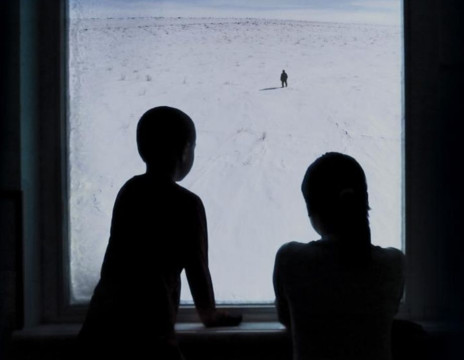  В Вологде покажут фильмы Арктического международного кинофестиваля «Золотой ворон» 