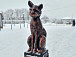 Скульптура кота установлена у здания, в которое переедет часть экспозиций Устюженского краеведческого музея. Фото 53news.ru