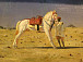 Верещагин В.В. Белая лошадь. Этюд. Из индийской серии. 1874-1876