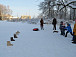 Зимние забавы в Спасском-Куркино. Фото vk.com/kurkino_estate