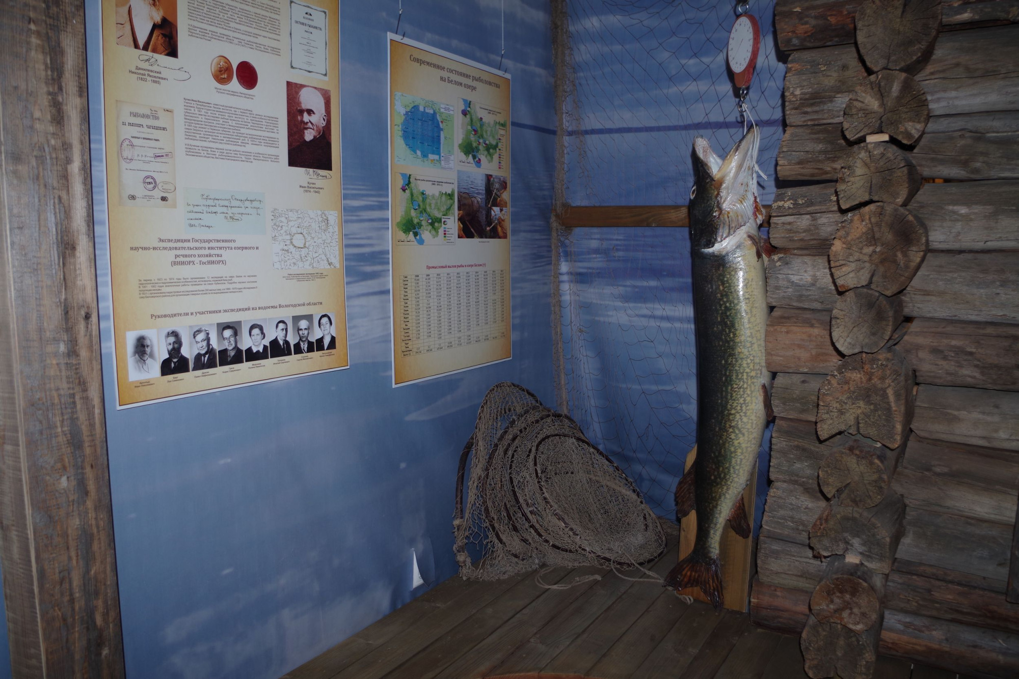 В экспозиции «Государев рыбный двор» в Музее Белого озера. Автор – Белозерский областной краеведческий музей
