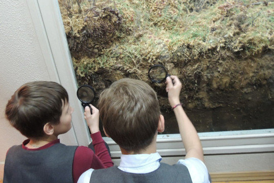 Первые занятия в рамках нового проекта «Подземное царство» проходят в Вологодском музее-заповеднике