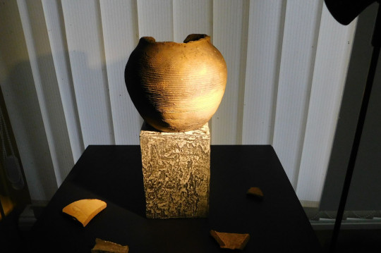 Тайны керамики раскроет новая выставка в Вологодском музее-заповеднике