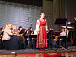 Выступление Губернаторского оркестра народных инструментов в Шексне 