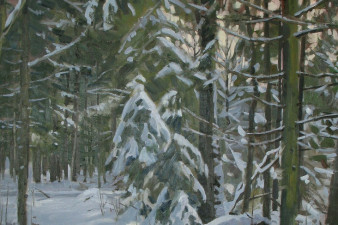 Зимний лес. 2010