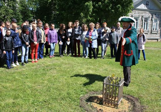 Петровский дубок, посаженный на территории музея-заповедника, отметил первую годовщину жизни в Вологде