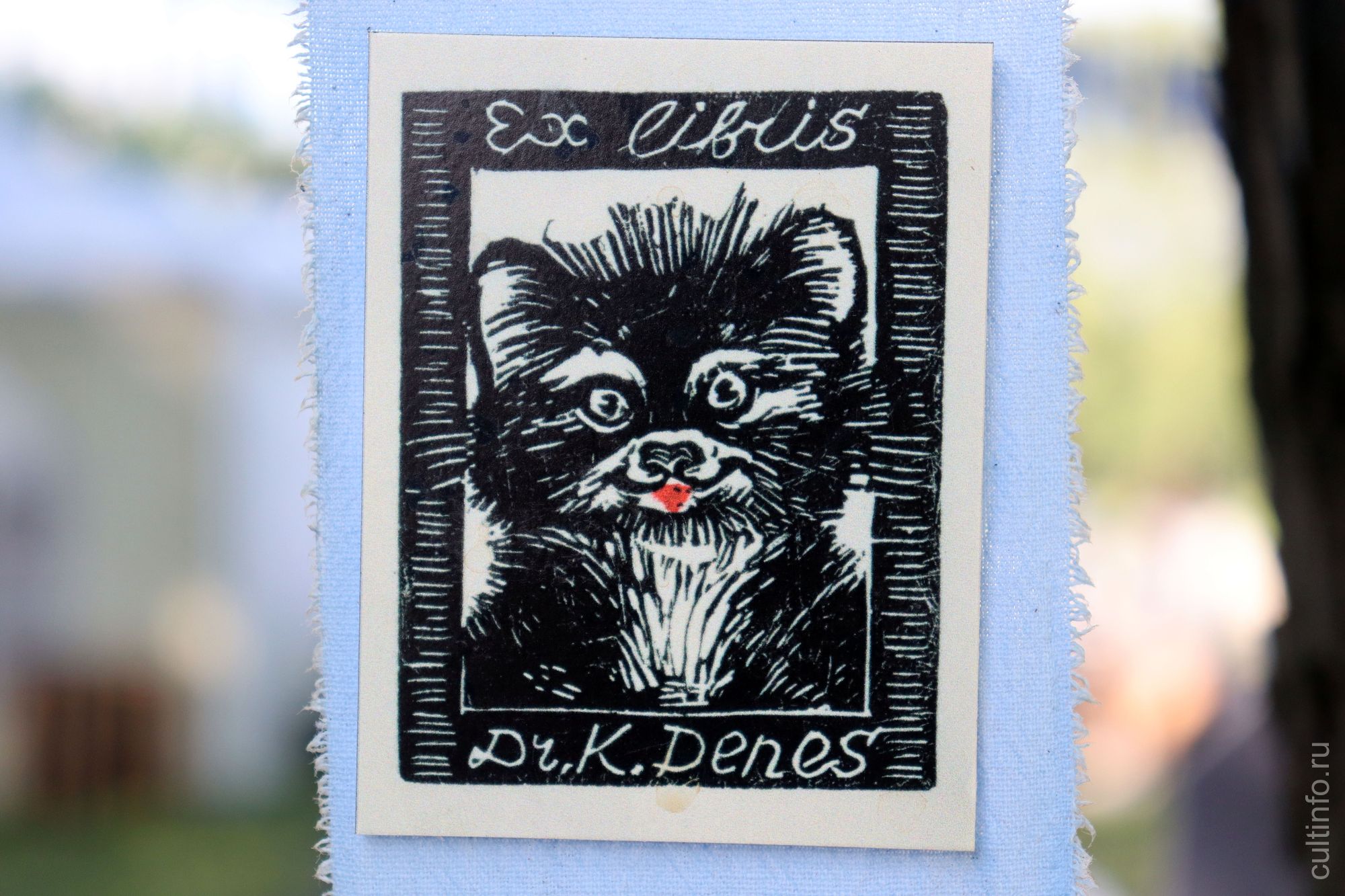 На два дня набережная Вологды превратилась в город графики благодаря фестивалю «БурмагинФест»