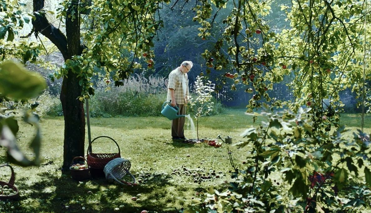 В Череповце покажут лучшие короткометражки фестиваля «Кинолес»