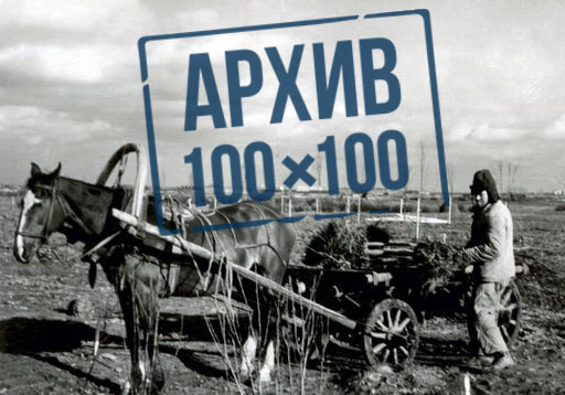 В Европейский день парков «Архив 100х100» вспоминает историю парка Мира