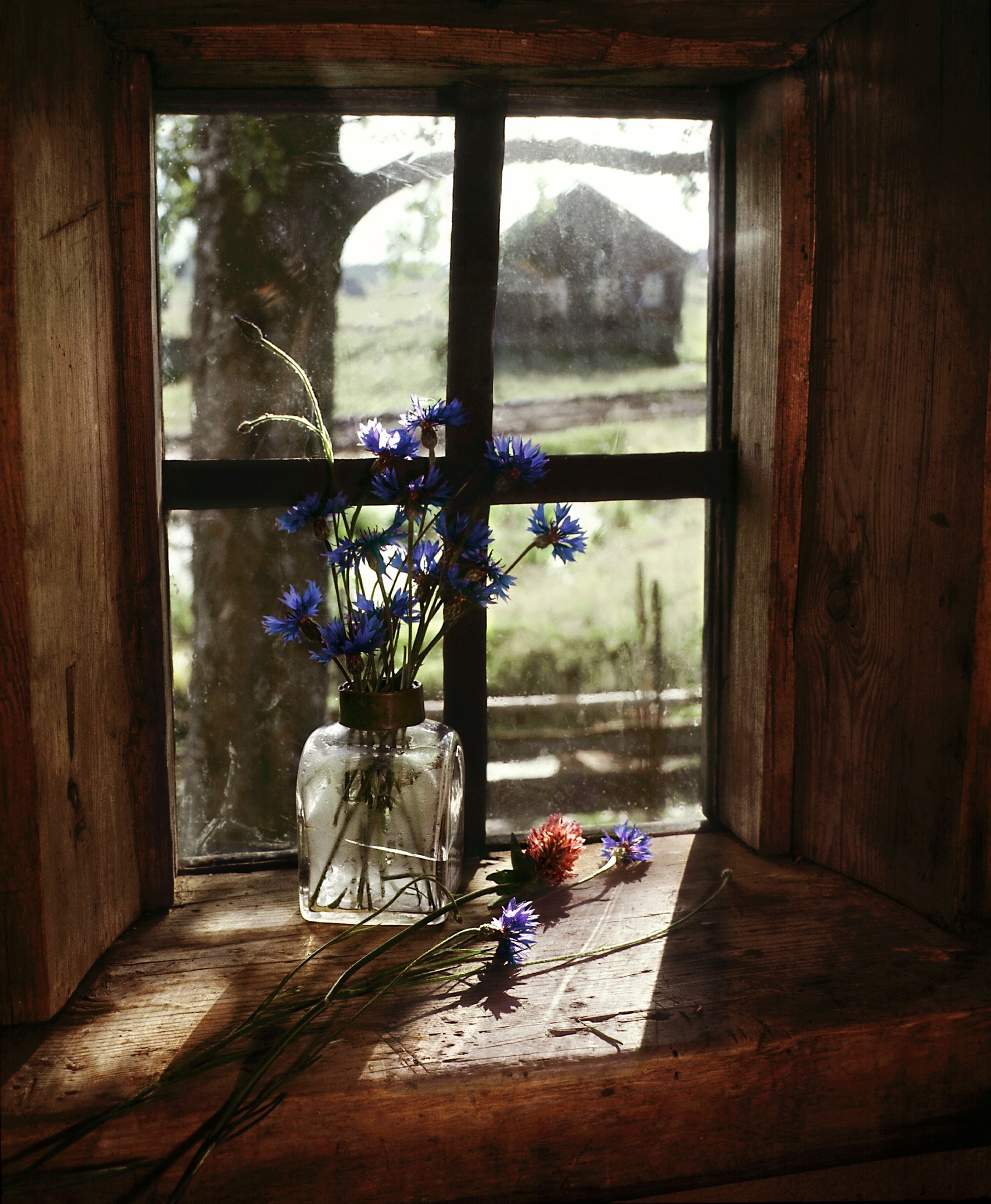 Об очерке Василия Белова «Раздумья на родине» и дорогой его сердцу Тимонихе расскажут на музейной лекции