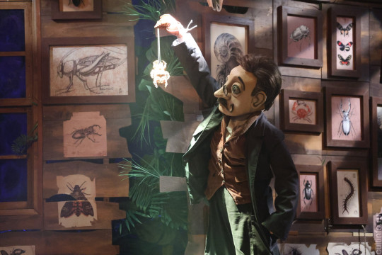 Спектакль «Золотой жук» Вологодского театра кукол «Теремок» стал соискателем премии «Золотая маска» 32 сезона. От театров ждут заявки уже на 33-й сезон