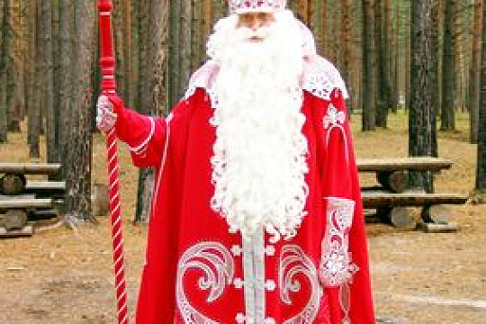 Дед Мороз принимает многодетные семьи из разных районов Вологодской области
