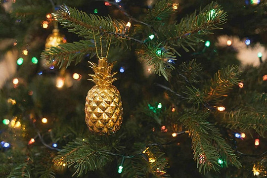 Областная детская библиотека предлагает ребятам украсить тропическую ёлку