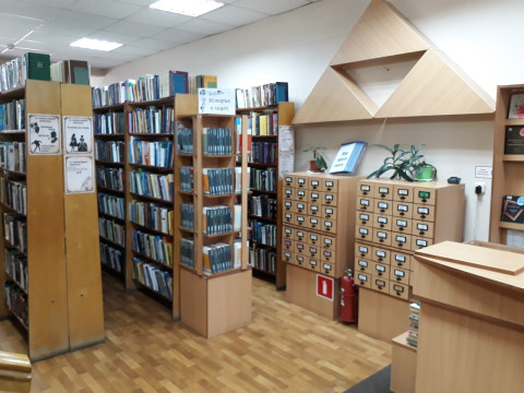 «Книжный маяк Заречья»: Библиотека на Добролюбова преображается благодаря «Народному бюджету»