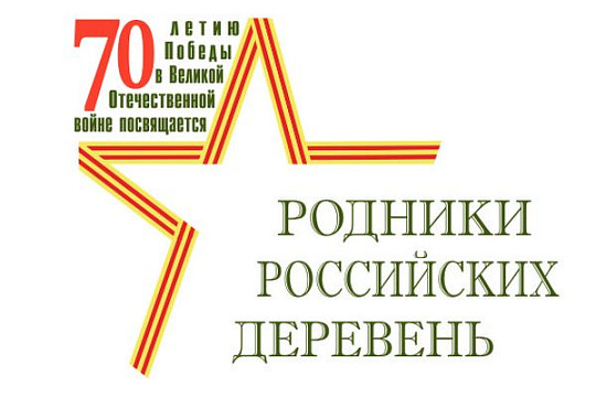 VI областной фестиваль «Родники российских деревень»