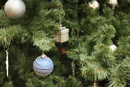 «Самые интересные гирлянды получались из фантиков, и все сразу знали, кто сколько съел конфет». Творческие вологжане делятся новогодними воспоминаниями