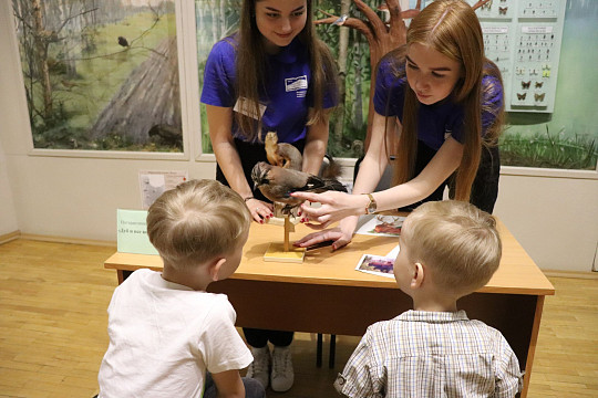 День защиты животных в Вологде отметят музейной программой для всей семьи