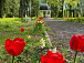 Фото: vk.com/kurkino_estate