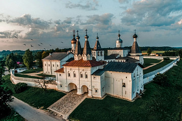 В Музей фресок Дионисия прилетела чайка-путешественница из Дании