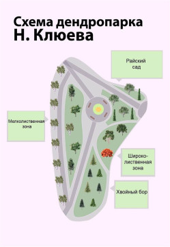 В Год литературы в Вытегре откроется дендропарк Николая Клюева 