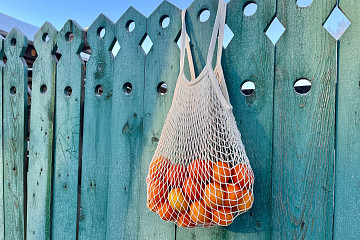 Фотоконкурс «Новогодний мандарин» проходит в Вологде