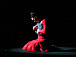 Спектакль фламенко «Фрида». Фото estrada.spb.ru