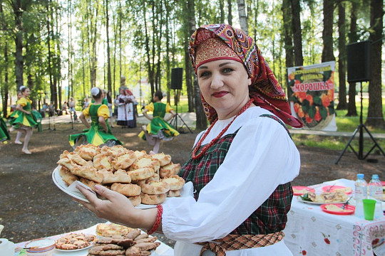 Жителей и гостей Вологодчины приглашают на фестиваль «Морошка. Новый уровень»
