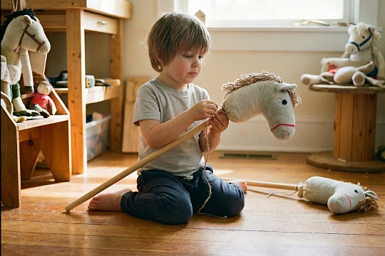 Вологжан приглашают создать своего коника и поучаствовать в фестивале новогоднего костюма «Весело, весело встретим Новый год!»