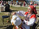VIII Всероссийский фольклорный фестиваль «Деревня – душа России»