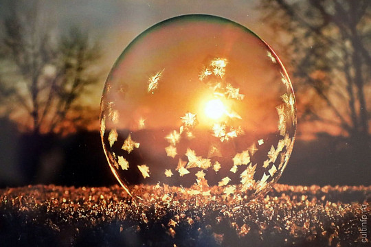 Зимние пейзажи представили участники объединения «ФотоЛира» в центре «Забота»