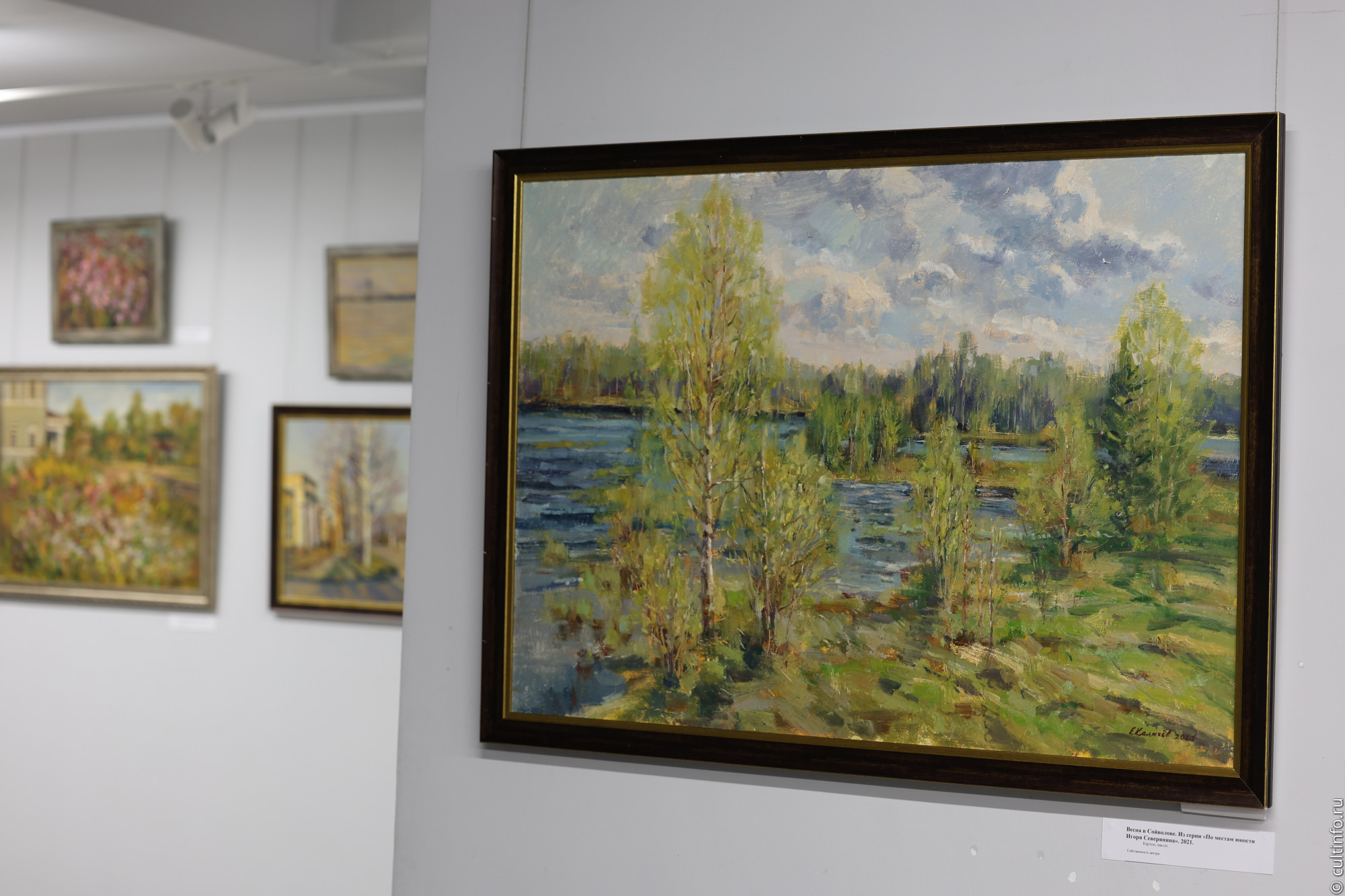 Выставку «Время топинамбуров» привез в Вологду череповецкий художник Евгений Калачёв