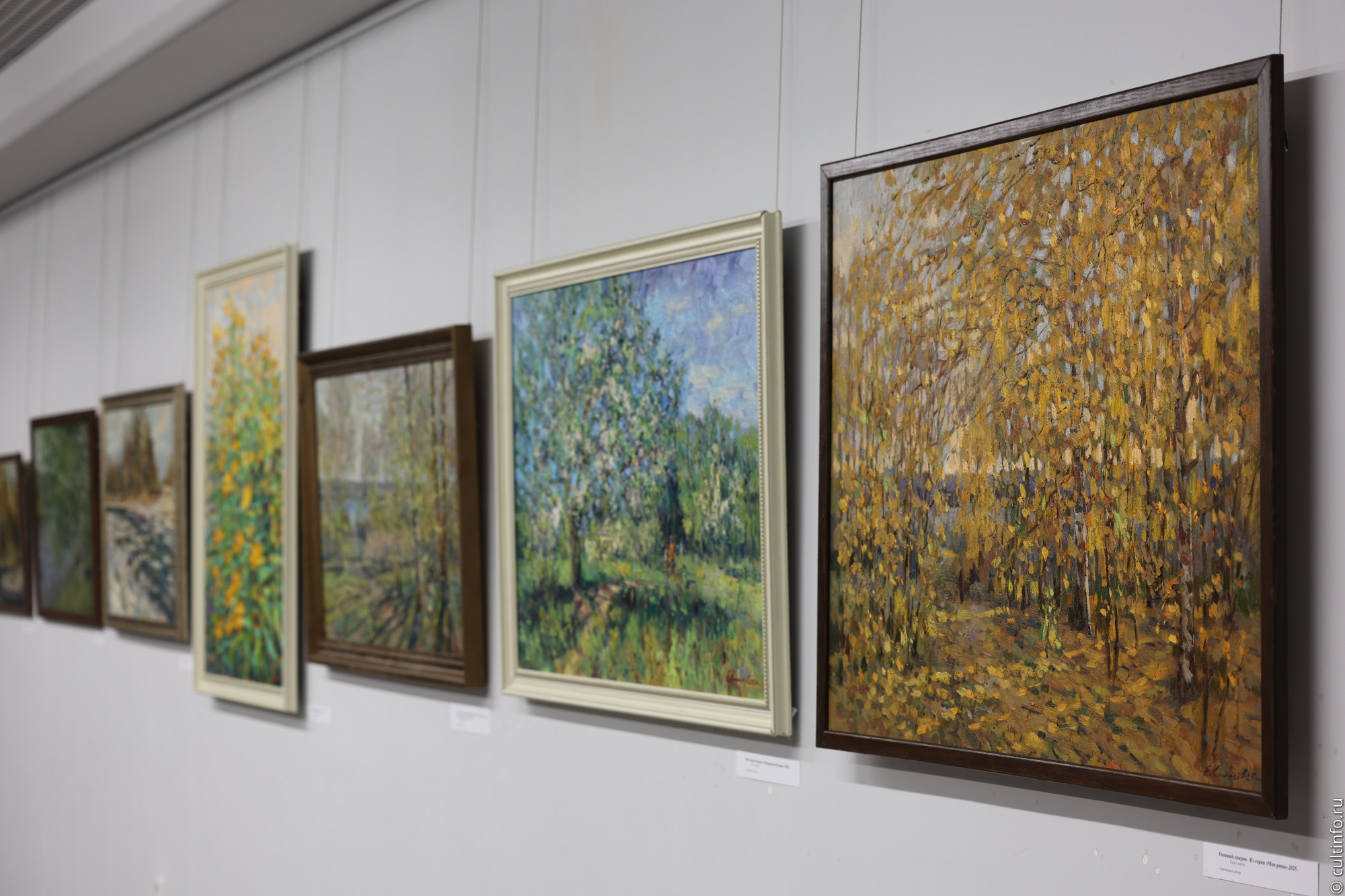 Выставку «Время топинамбуров» привез в Вологду череповецкий художник Евгений Калачёв