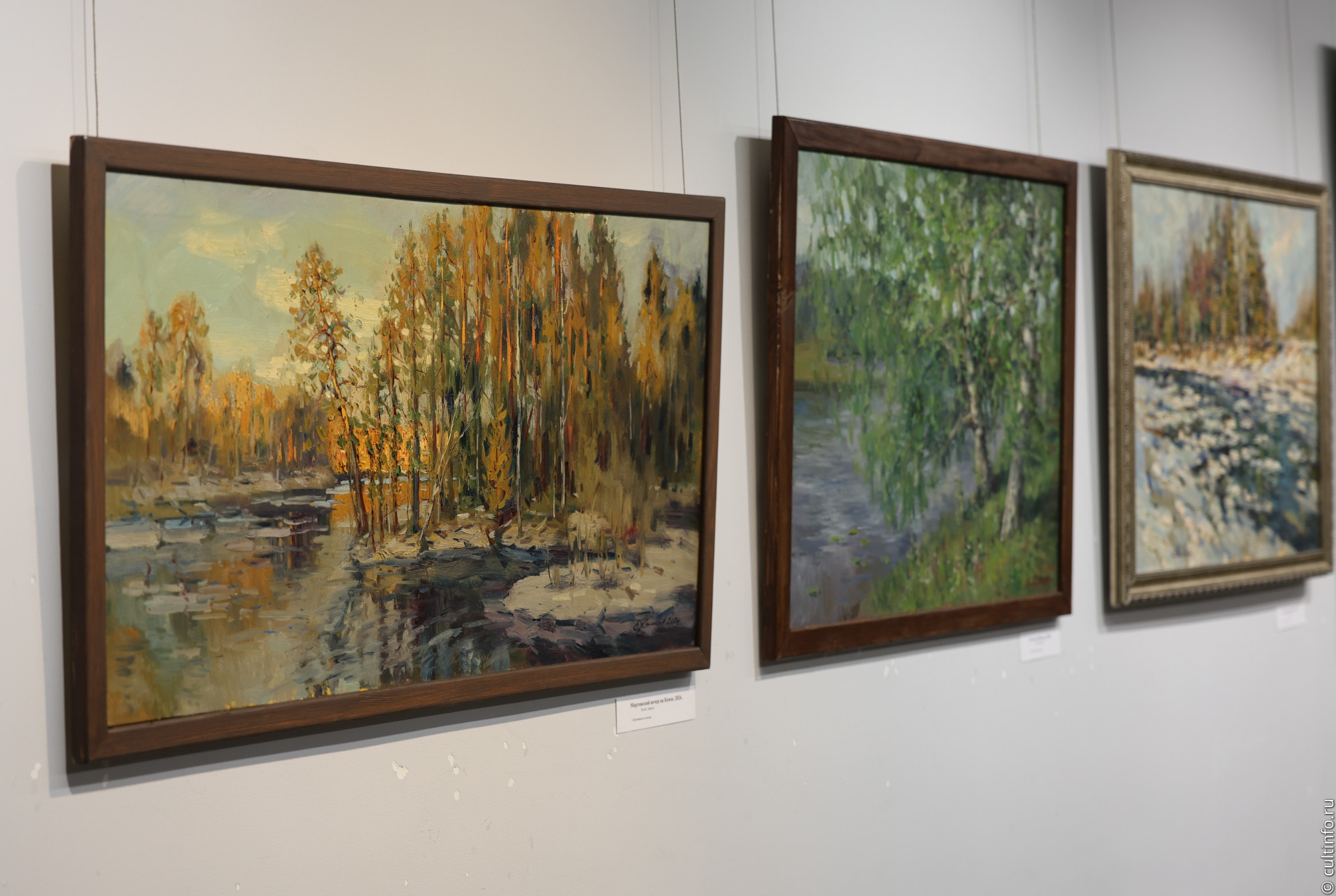 Выставку «Время топинамбуров» привез в Вологду череповецкий художник Евгений Калачёв