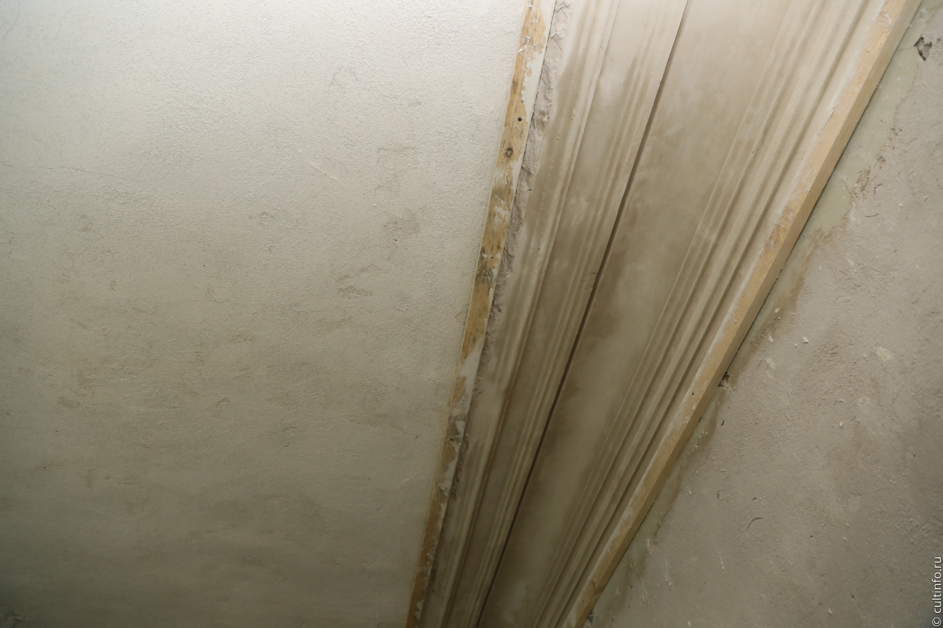 Потолочные тяги 