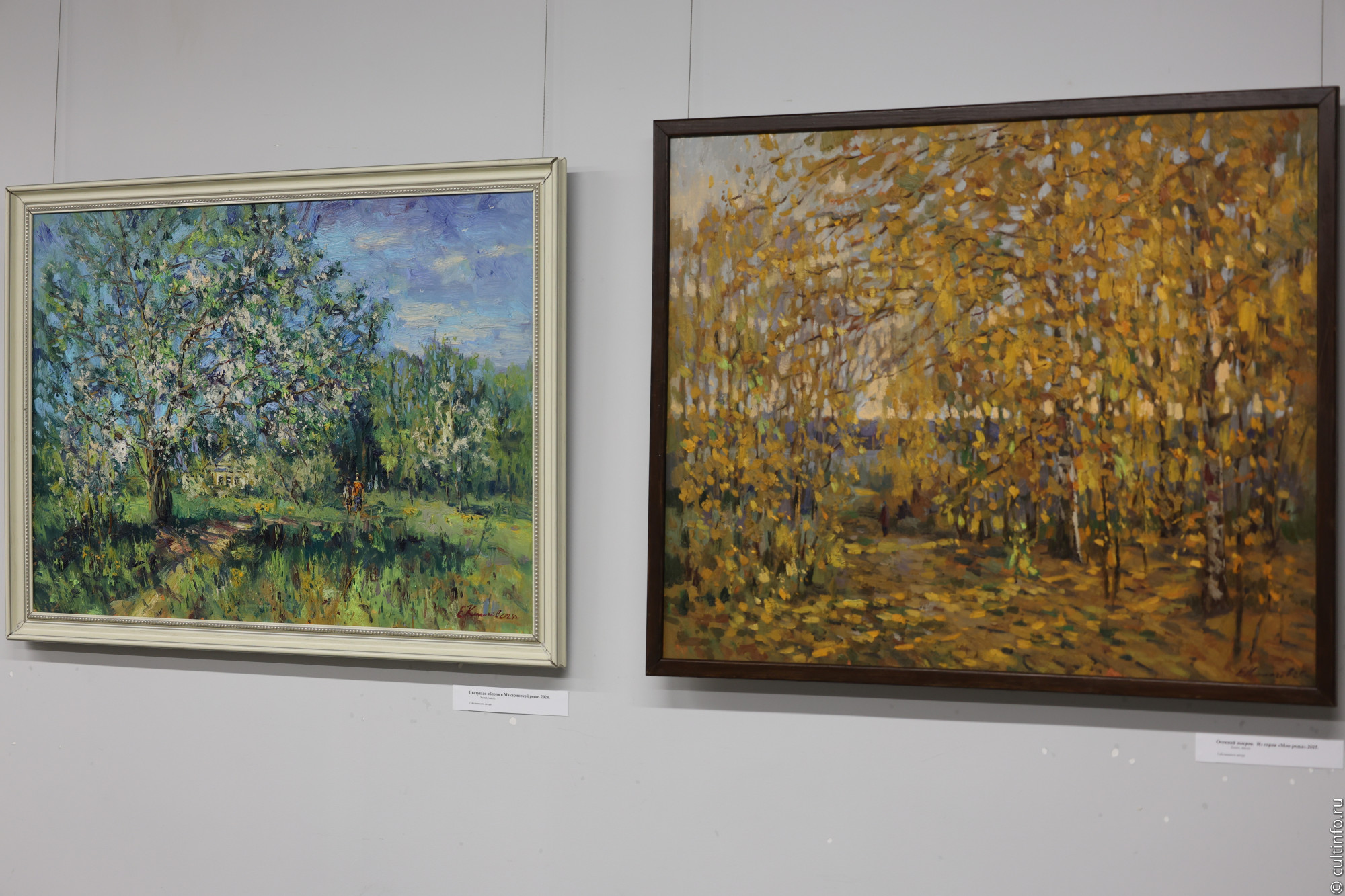 Выставку «Время топинамбуров» привез в Вологду череповецкий художник Евгений Калачёв